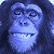Blue Monkey - Sanctuary
